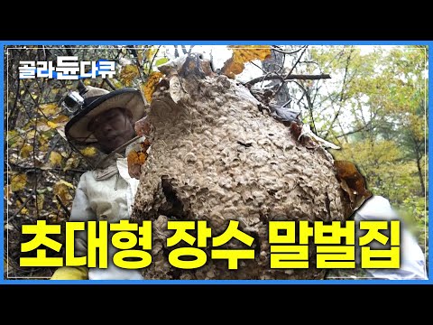 아이콘
