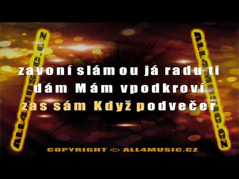 KJ0996 ZAGOROVÁ HANA-Málokdo ví (Karaoke verze)