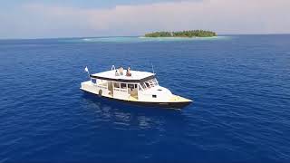 Geraldine Taylor - Imagine Sunshine Remix