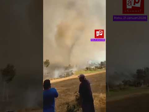 Kebakaran Hutan Chili! Tornado Asap Muncul di Tengah Kebakaran Hutan Chili