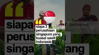 Download lagu Who Are the 3 Singaporean Companies Controlling Indonesia's Palm Oil? #palmoil #forestfires #indo... mp3