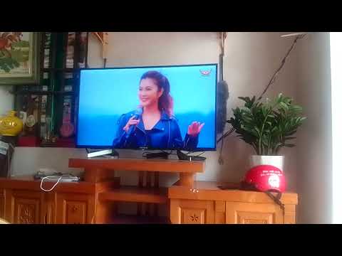 Song Đạt Media x Yêu Làm Gì - Yêu Làm Gì Để Rồi Phải Khóc | Cơn Bão Tình Yêu | Quỳnh Lady x Đạt .