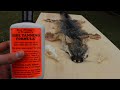 Grey Fox Fur Pelt HIDE TANNING Demo using Hunter's Tanning Formula Start to Finish