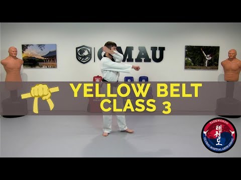Taekwondo Follow Along Class - Yellow Belt - Class #3 thumbnail