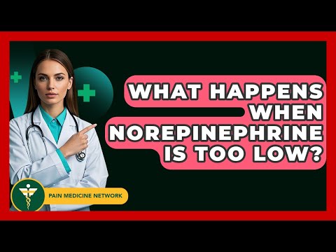 What Happens When Norepinephrine Is Too Low? - Pain Medicine Network
