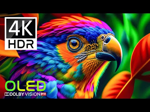 Unseen 4K HDR Nature Heaven 🌿 | Stunning 60FPS Dolby Vision Ultra HD