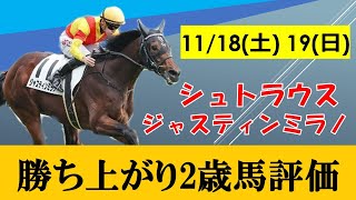 【11月3週目2歳戦評価】11月18日・19日の2歳戦を一挙評価！！新馬戦ではキズナ産駒の大物登場！東スポ杯はシュトラウスが巻き返しV！！