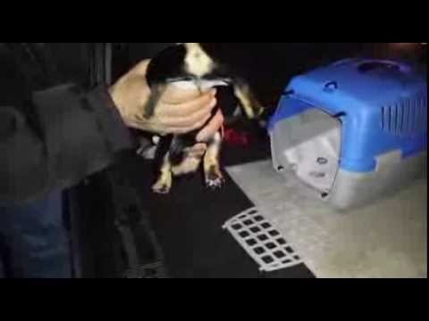 Taxi Mannheim Bahnhof yarak kancik mosses