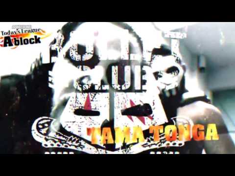 Guerrillas Of Destiny Custom Titantron