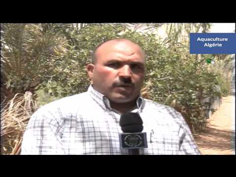 comment construire bassin d'irrigation