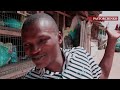 IJO AWON ALAGBA FUNNY Featuring Ceremony Ode Baba Soji Roruba Panther