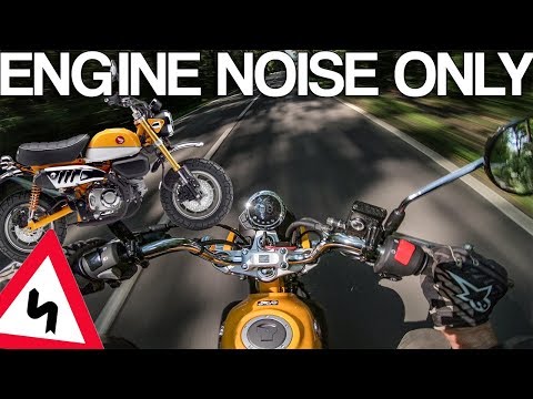 HOW FAST is the new HONDA MONKEY? [RAW Onboard]