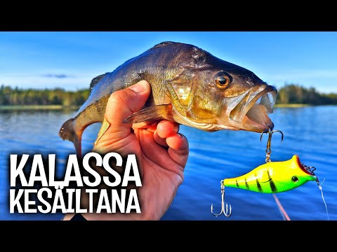 ISOA AHVENTA POPPERILLA - AHVEN SYÖ PARHAITEN KESÄILTAISIN