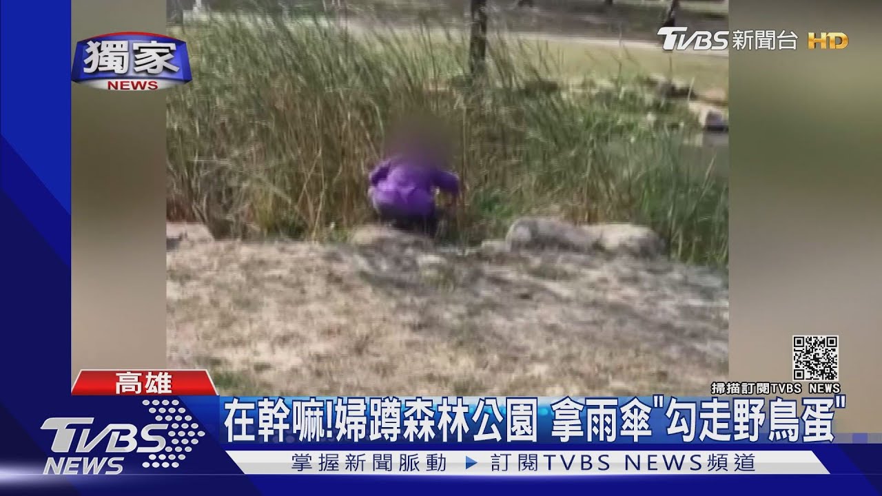 婦蹲公園偷4顆野鳥蛋 勸阻反嗆「大家都偷」