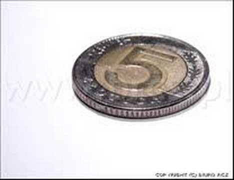 Patolog Skład -- 5 pln