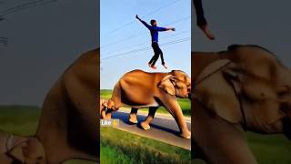 Download lagu elephant video 📸#elephant #elephante #hathi #gajraj #animals #funny mp3 Download lagu elephant video 📸#elephant #elephante #hathi #gajraj #animals #funny mp3