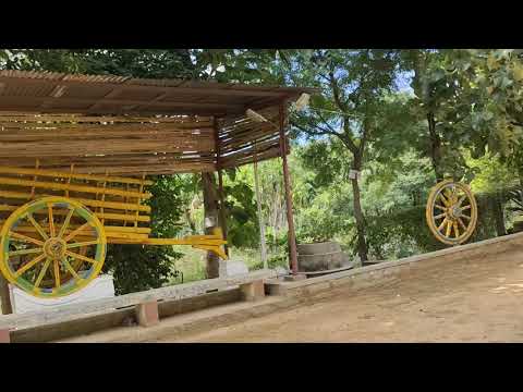 Yathindra Farm at Dandaganahalli Near Manchenahalli Guribidanuru Taluk