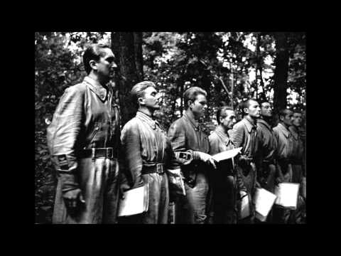 Magozott Cseresznye Horthy István HD