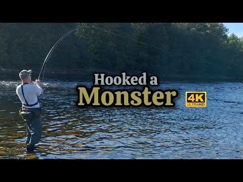 Hooked a MONSTER Salmon! | Epic Fishing Adventure