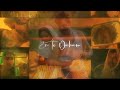 Ninne Kinavu Kanum ️ Omane Adujeevitham Amalapaul Prithviraj Agoatlife Lyrics Roamntic Love
