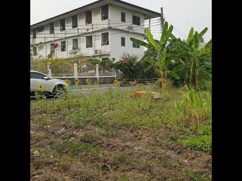 ที่ดินสวย ถนนเพชรเกษม, Bangkok, ซอยเพชรเกษม 88, Bang Kae Nua, Bang Khae, Bangkok, , 800 sqm, Land For Sale, by K. Book , LINE ID : @oksure, 8509229 - DDproperty.com