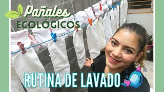 Cómo lavar PAÑALES ecológicos🧼♻️ fácilmente. MI RUTINA 😃🌎| Karla Zaberry
