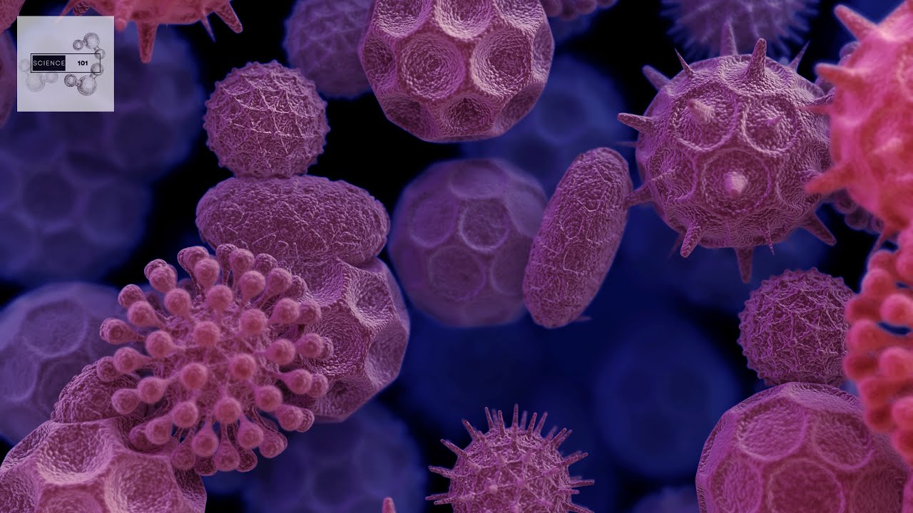 Microbiology 101 | Science 101