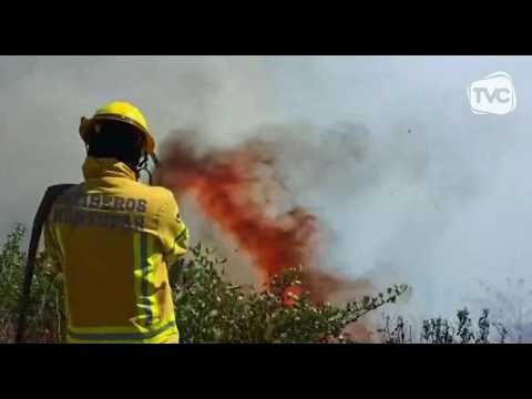 Incendios en Carchi: 1.200 hectáreas quemadas y 90 siniestros en la temporada crítica