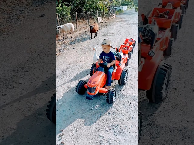 Vídeo relacionado con KNASON Animales Granja Juguete con Grande Tapete Juego 120x80cm,38 Pieza Animales de Juguete con Jumbo Figuras Animal,Tractor Juguetes y Granja Apero,Educativo Juguetes para Niños 3 4 5 6 Años