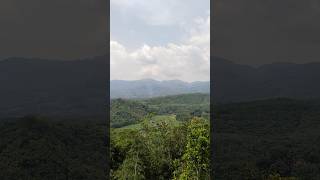 Download lagu Pemandangan hijau yang indah #pemandangan #pemandanganalam #nature #shorts mp3 Download lagu Pemandangan hijau yang indah #pemandangan #pemandanganalam #nature #shorts mp3