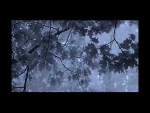 Antonio Massimo Lentini & Mflex-Rainy Days IV