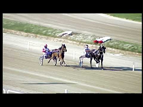 Trotto 20/12/2020 - 1ª prova di qualifica