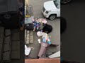 Bear Eating From a Trash Bag After It Got It Out of a Bin