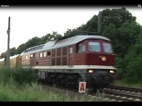 Güter Bahnverkehr Braunschweig - Magdeburg (2)