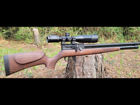 Airacuda 50 Yard Pellet Testing