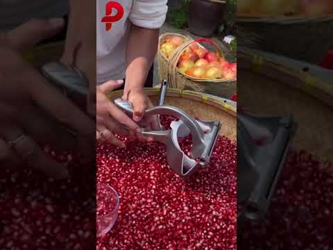 Alluminium Manual Fruit Juicer Hand Juicer Aluminum Handle Juicer Silver