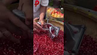 Pomegranate Juicer