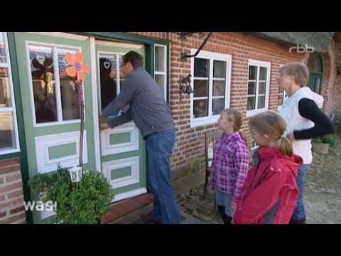 download lagu mp3 mp4 Haustausch, download lagu Haustausch gratis, unduh video klip Haustausch