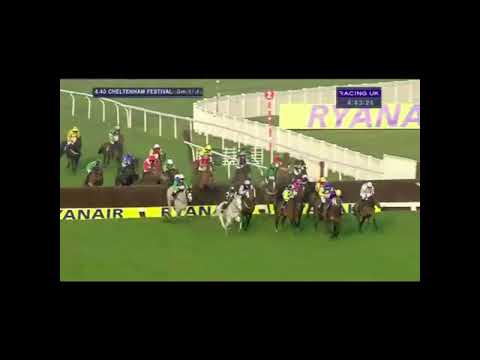 2014 Fulke Walwyn Kim Muir Challenge Cup - Cheltenham Festival