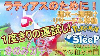 【#ポケスリ】神引きか！？１度だけの運試しワカクサEXガチャ！【#ポケモンスリープ】ラティアスのために…！アンバー渓谷+26％リサーチPlus+所持。無課金のんびりPokémonSleep実況♪