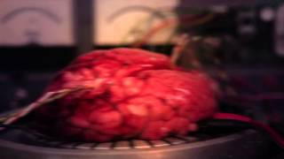 Entropía • Inteligencia Creativa Estratégica