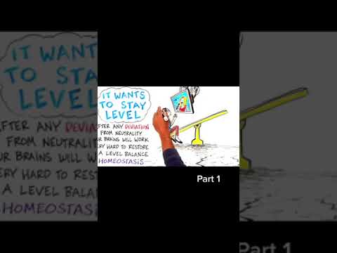 HOW TO FINE BALANCE IN THE  AGE OF INDULGENCE (PART 1)