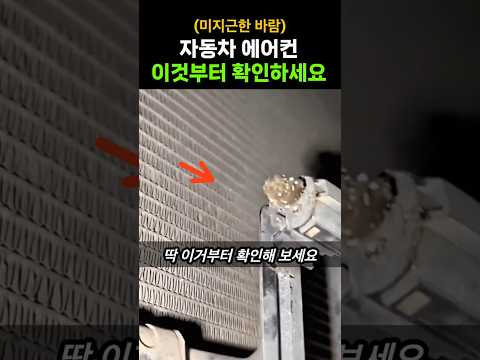 자동차 에어컨 이것부터 확인해보세요 #에어컨 #초보운전 #자동차팁