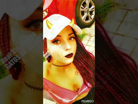 REAL XIA FT TRYGA-GATOS DE LA CALLE