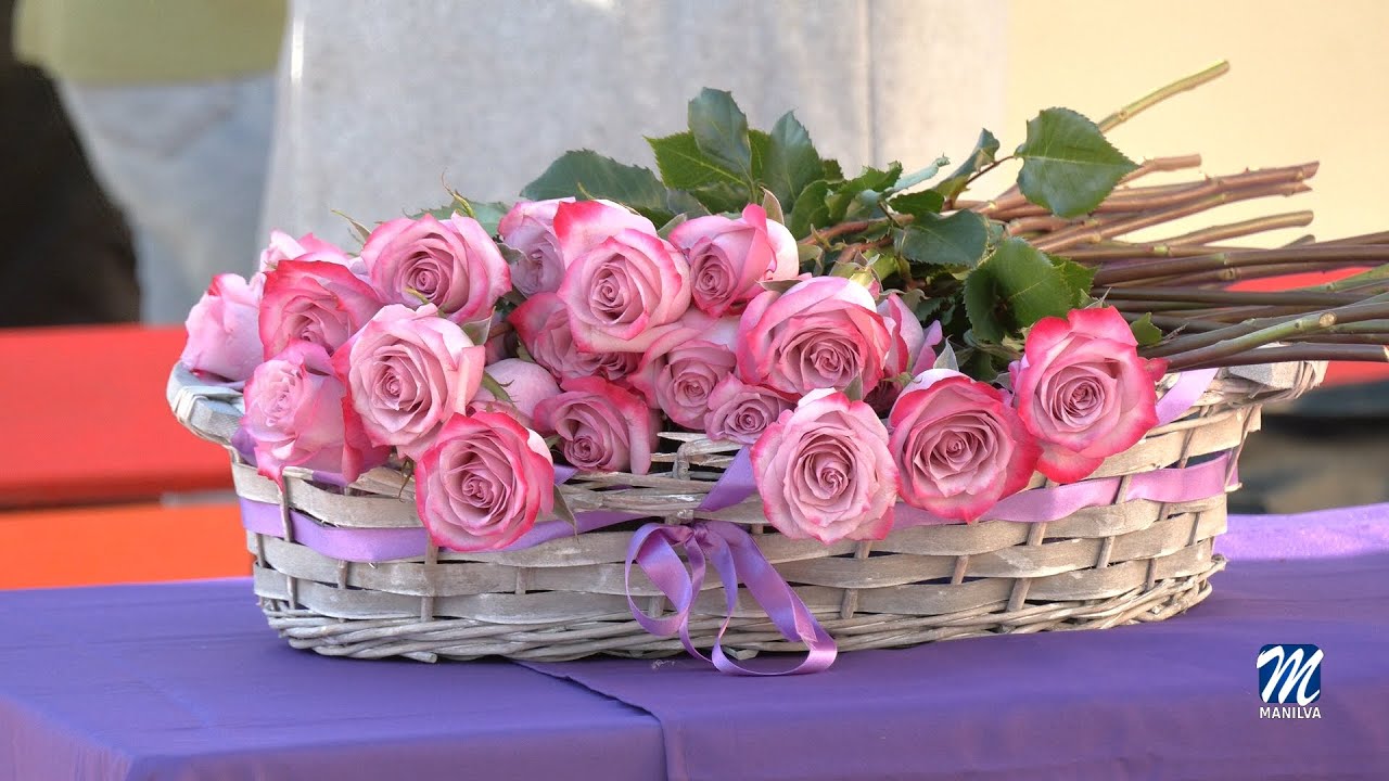 MANILFIESTO INSTITUCIONAL 25N