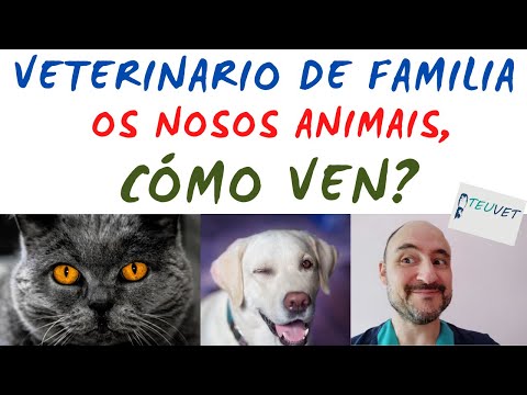 Vídeo: Os nosos animaliños, como ven?