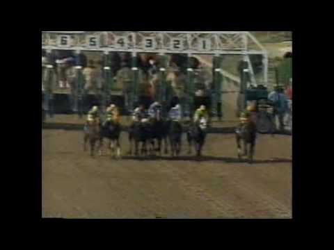 FARMA WAY - Pimlico Special 1991