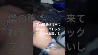 ティックトックフォローお願いします職場風景？