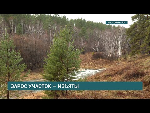 25 сельскохозяйственных участков изъяли специалисты Россельхознадзора у их собственников