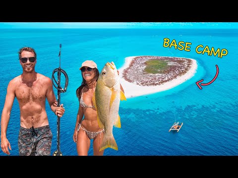 DAY 27 LIVING AT SEA: This Island is a Nature Documentary 